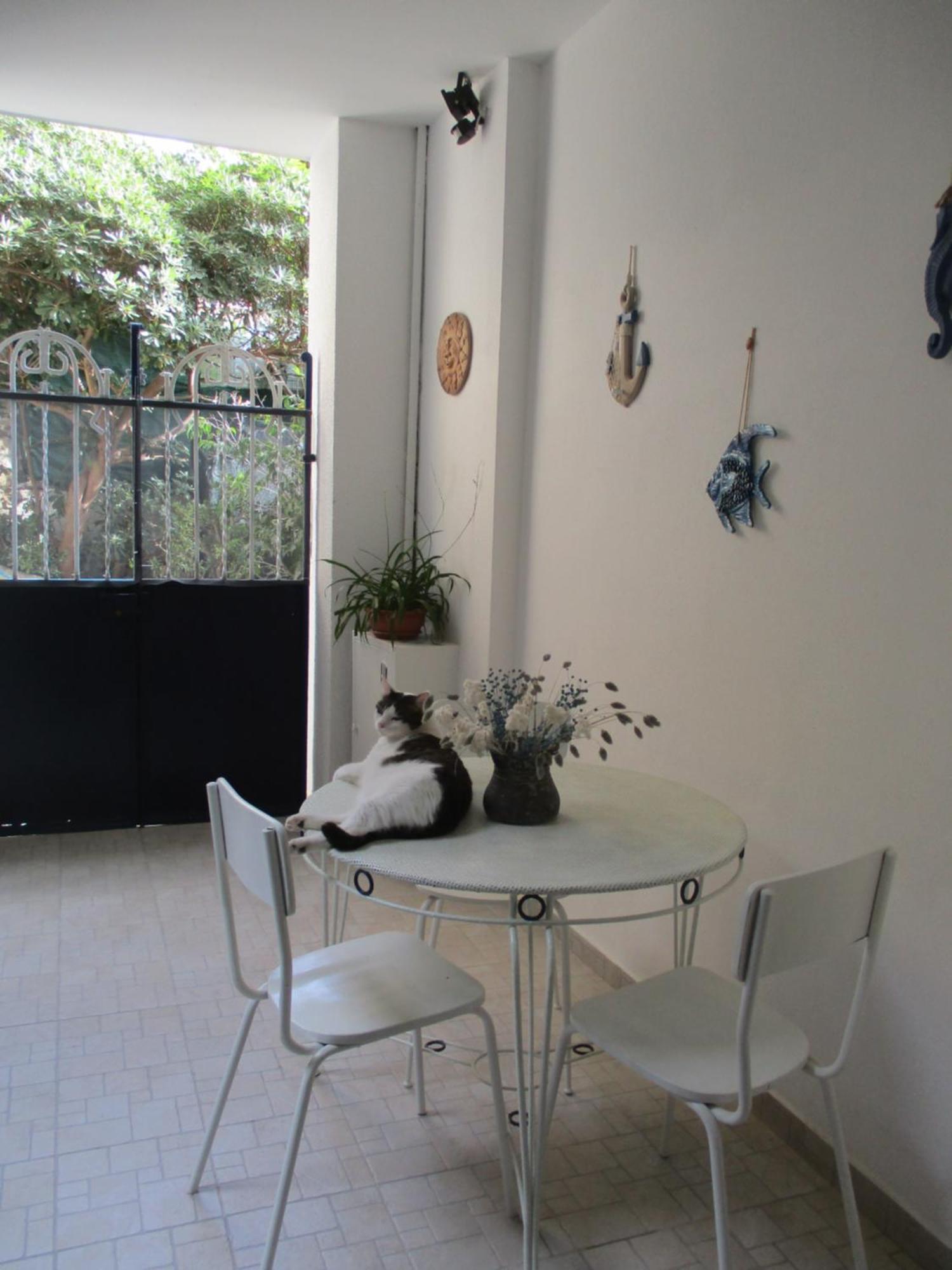La Casa Del Nespolo Tranquillo Alloggio Vicino Alla Stazione Sanremo Exterior foto